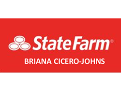 State Farm-Briana – 250×188